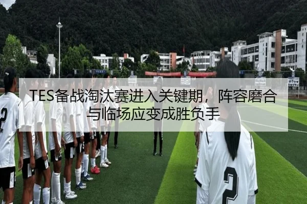 TES备战淘汰赛进入关键期，阵容磨合与临场应变成胜负手 - aiyouxi